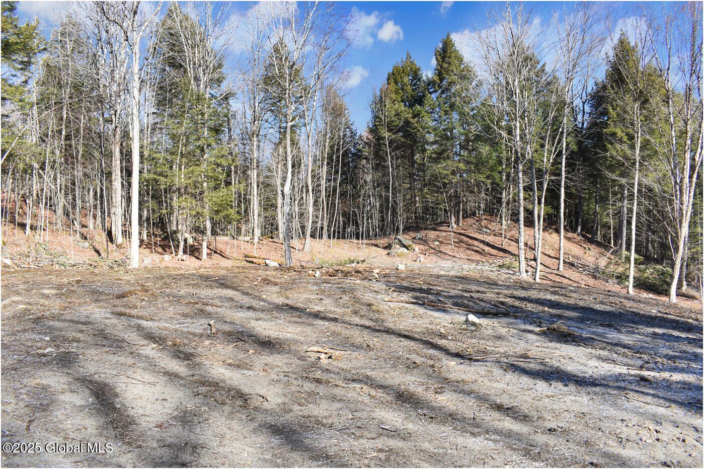 64 Carriage Knolls Road, Chestertown, New York image 7