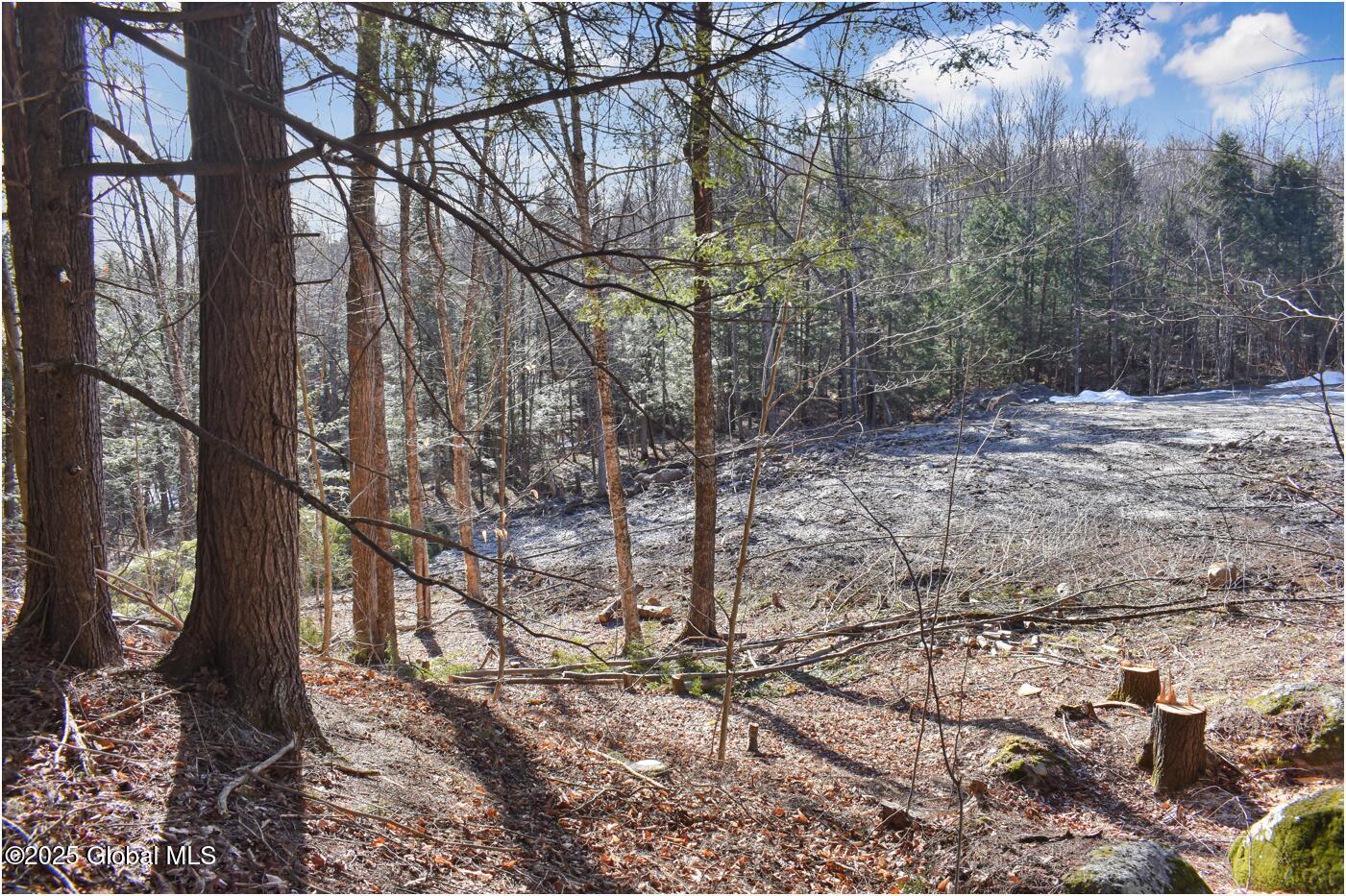 64 Carriage Knolls Road, Chestertown, New York image 10