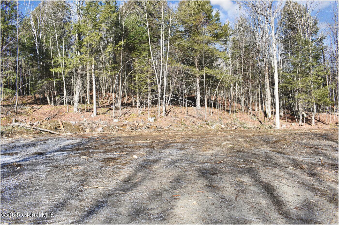64 Carriage Knolls Road, Chestertown, New York image 8