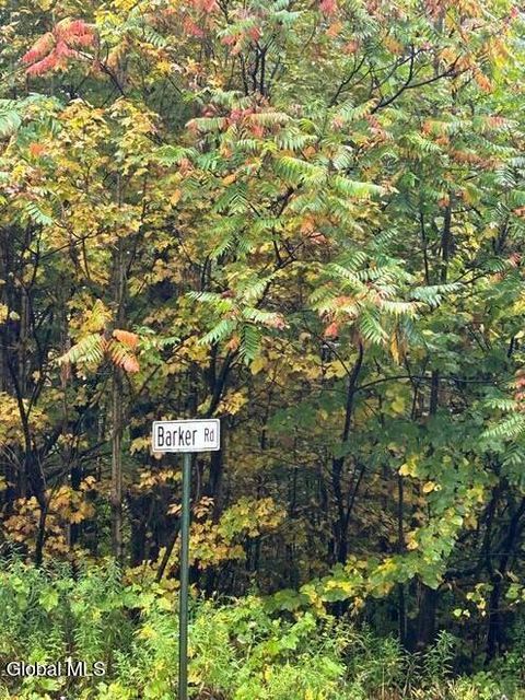 Vacant Land For Sale - L22 North Road<br/> Dolgeville, NY 13329