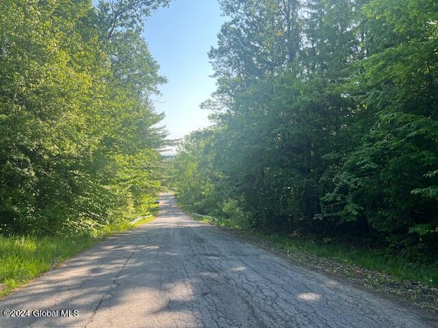 132 Wesskum Woods Road, Gloversville, New York image 1