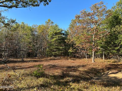 Photo of L31 Gulf Hill Road, East Berne, NY 12059 (MLS # 202528075) Photo of L31 Gulf Hill Road, East Berne, NY 12059 (MLS # 202528075)