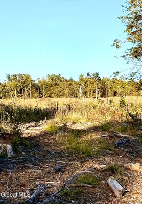 336 DICKINSON HILL RD, DIAMOND POINT, NY 12824 - Image 45d42937a2ad2e1ca243bc4033342bbd/2712774258