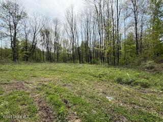 168 Dekalb Road, Granville, New York image 17