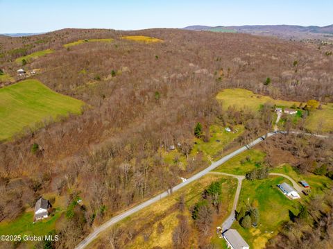 Vacant Land For Sale - 49 State Line Road<br/> Eagle Bridge, NY 12057