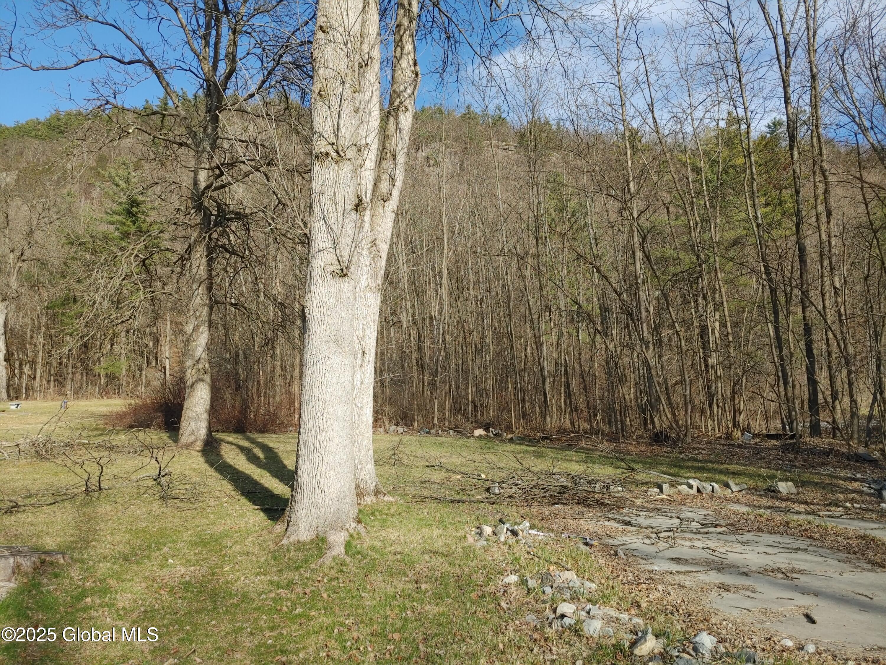 103 Black Point Road, Ticonderoga, New York image 2