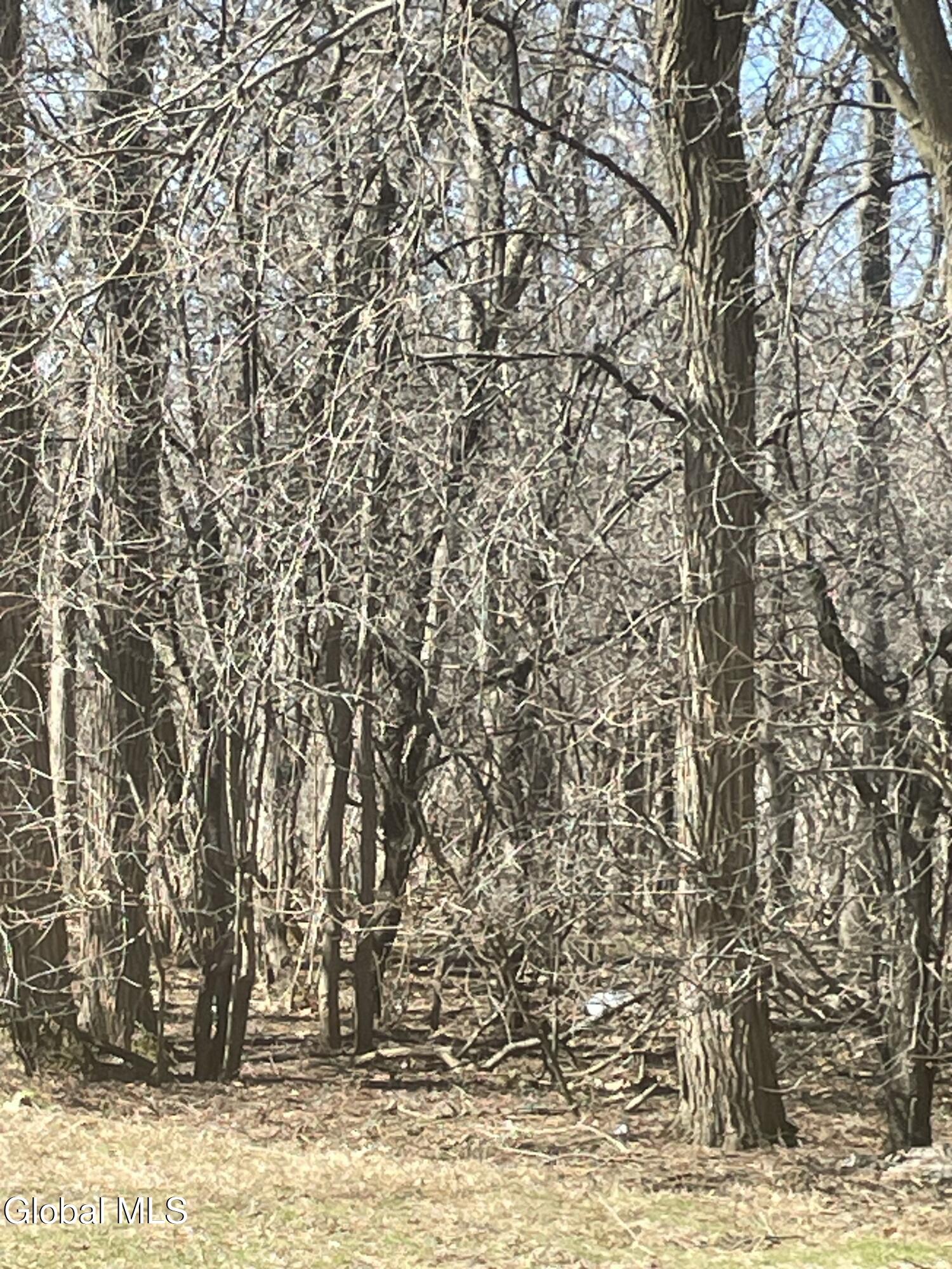 L 26 Stevenson Street