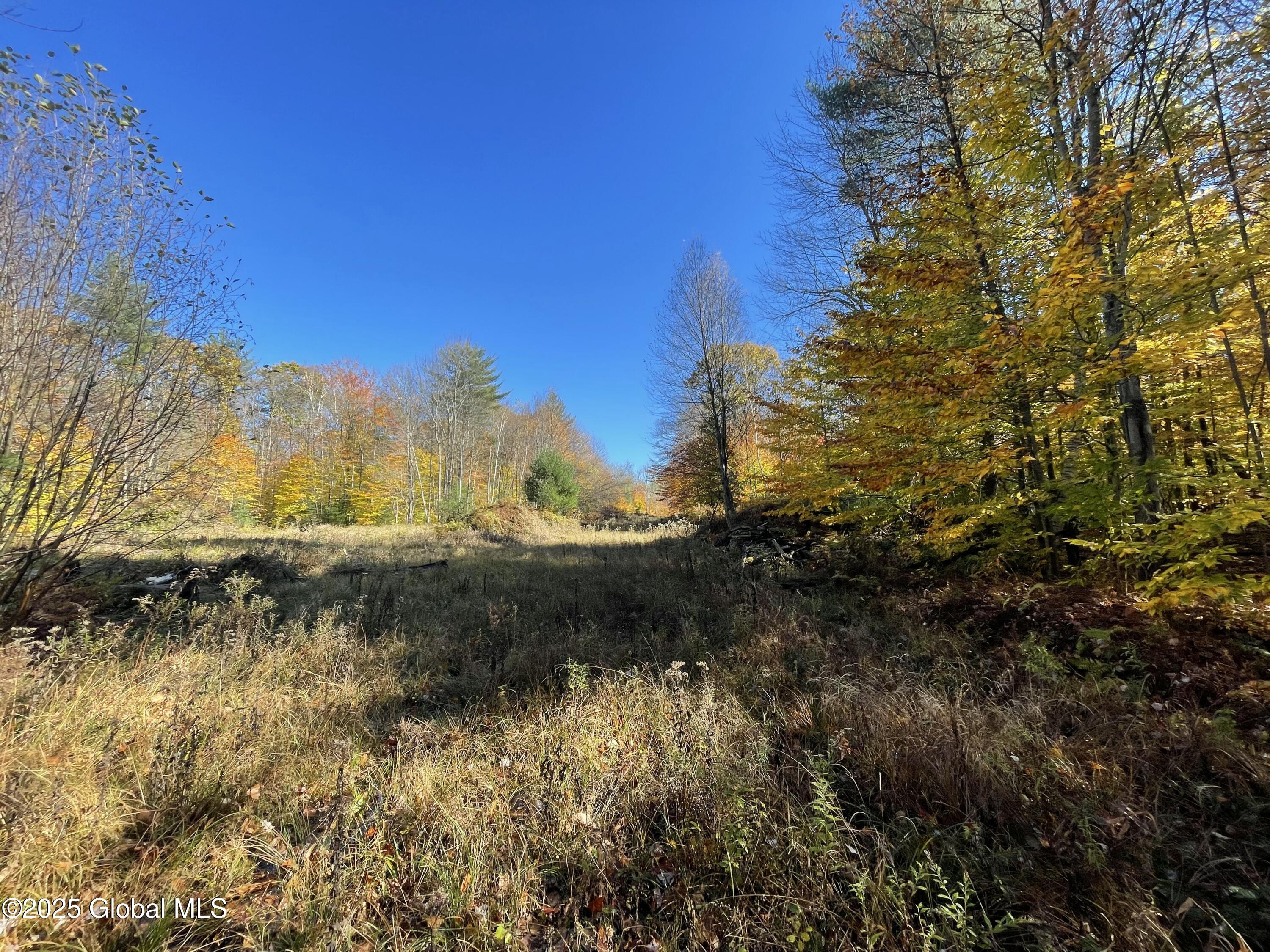 L18 East River Drive, Lake Luzerne, New York image 24