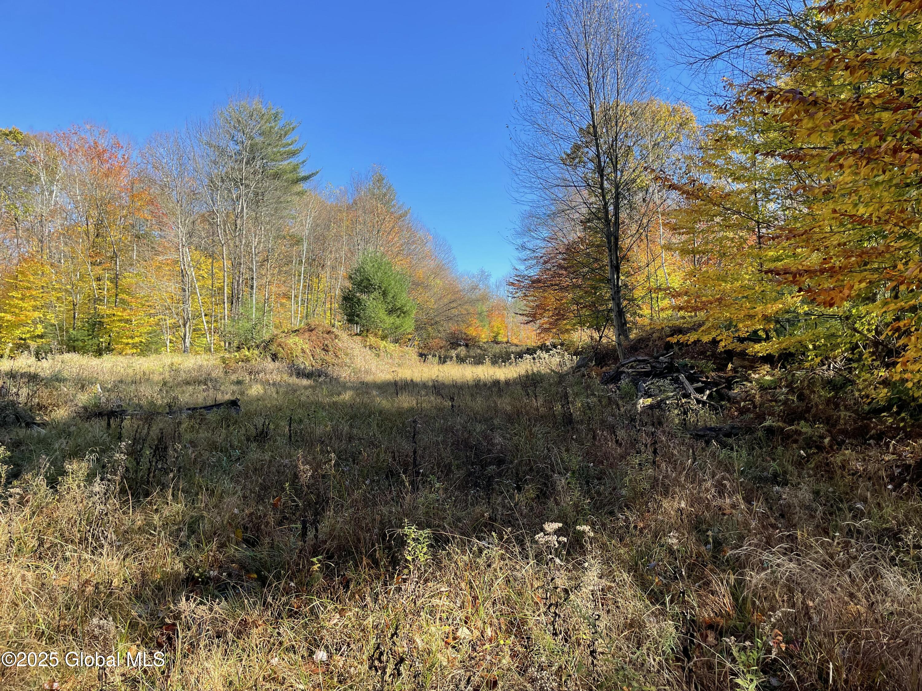 L18 East River Drive, Lake Luzerne, New York image 23