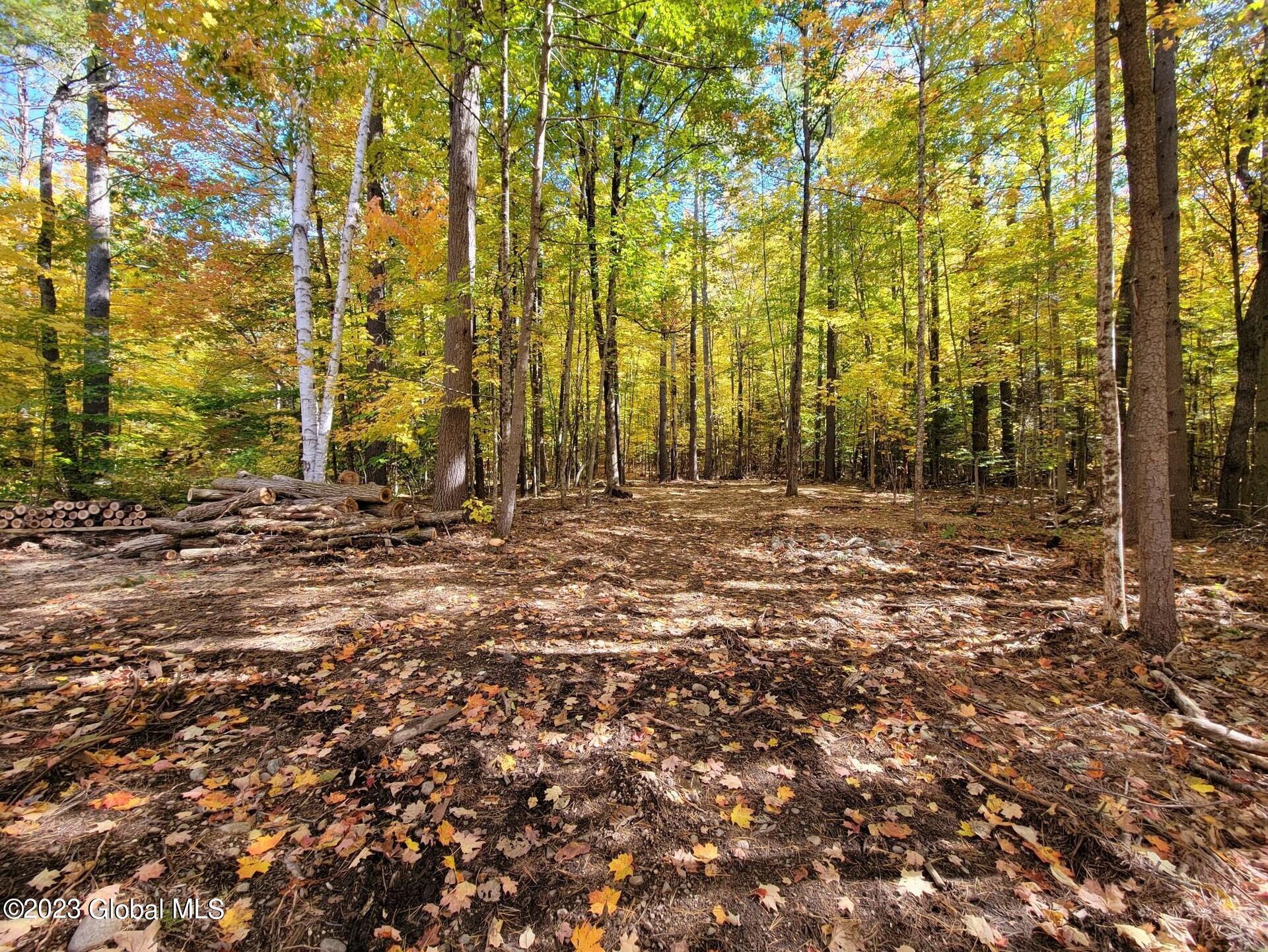 165 Mountain Path, North Creek, New York image 7