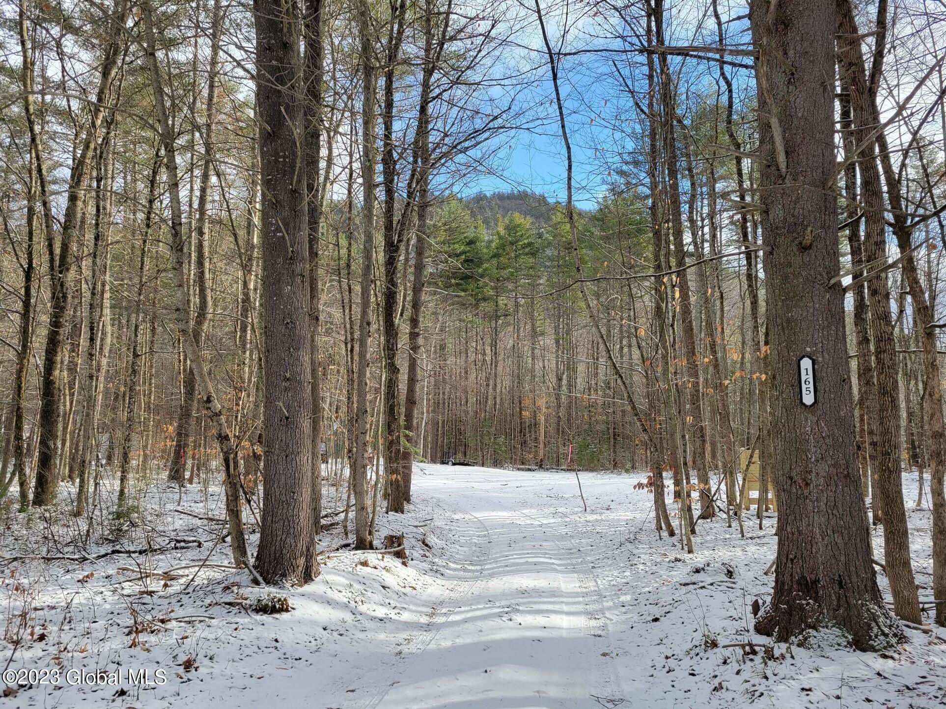 165 Mountain Path, North Creek, New York image 4