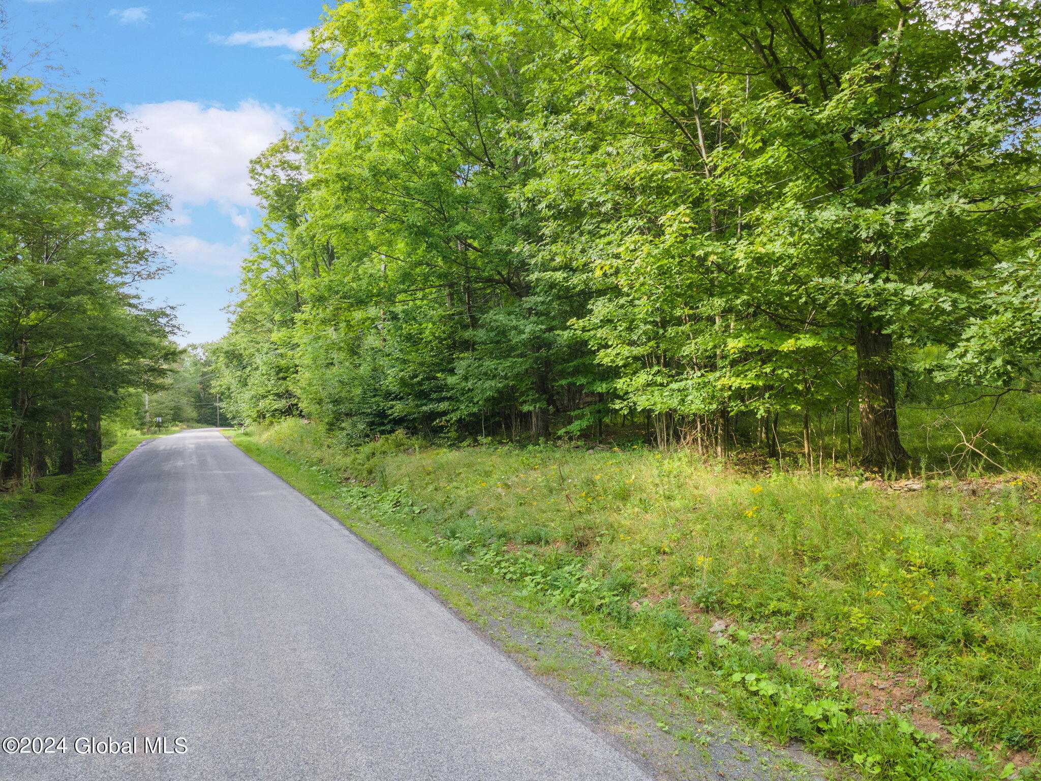 2468 Tower Mountain Road, Stamford, New York image 9