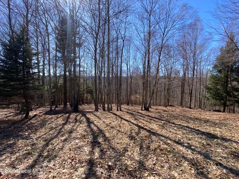 Vacant Land For Sale - L22.2 Alder Pond Road<br/> Delaware County, Andes, NY 13740