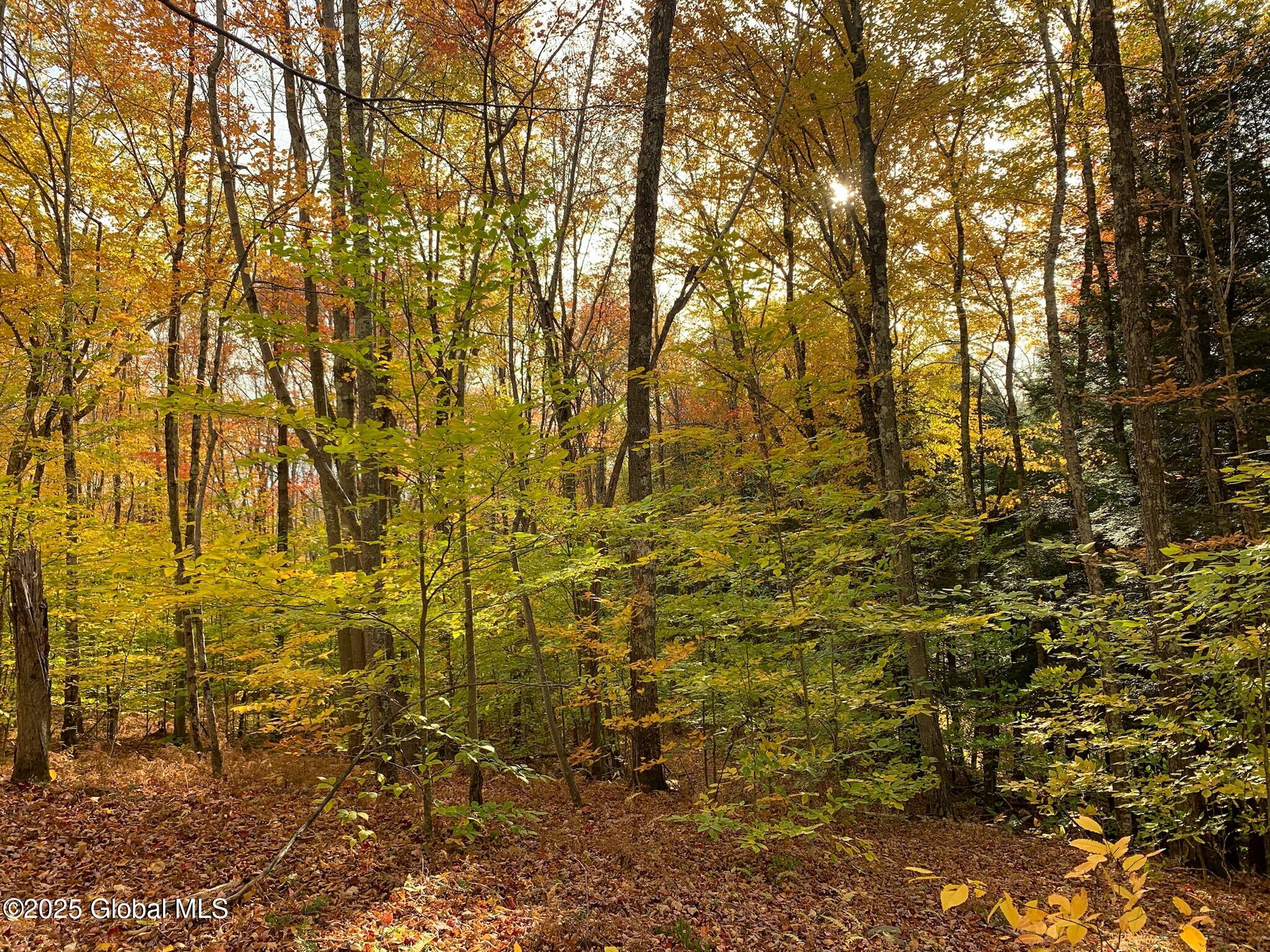 L22.2 Alder Pond Road, Andes, New York image 33