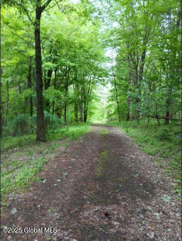 L24.2 Switzer Hill Road, Mohawk, New York image 2