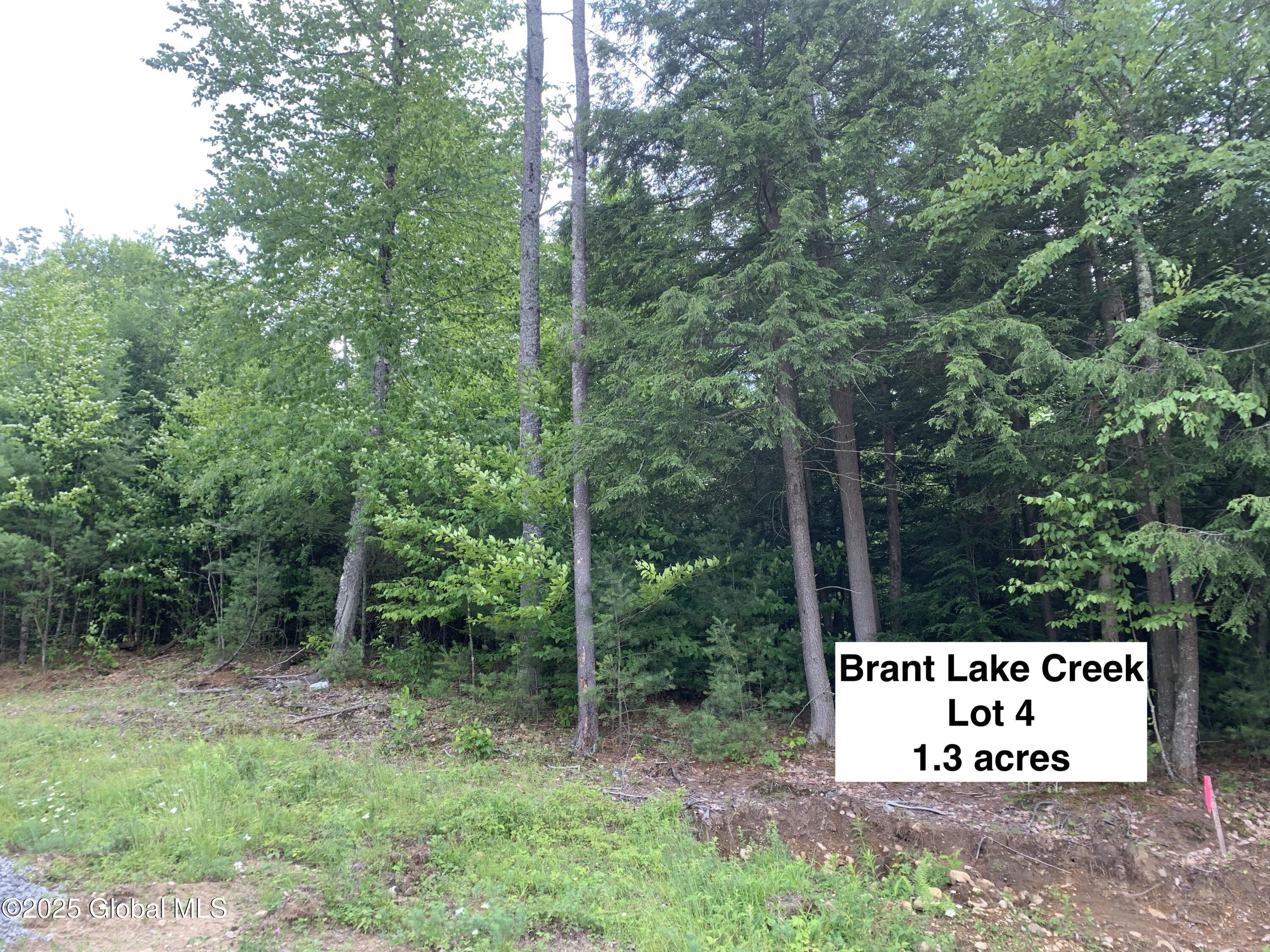 14 Brant Lake Creek Road, Brant Lake, New York image 5