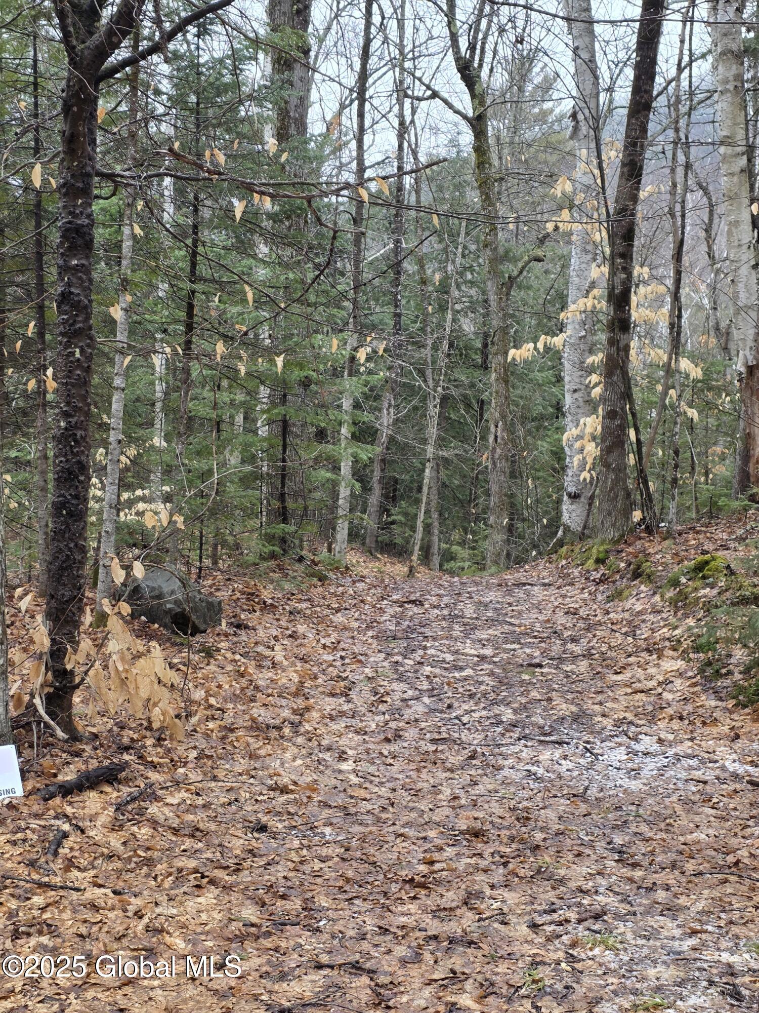 8 & 14 Mountain Path, North Creek, New York image 1