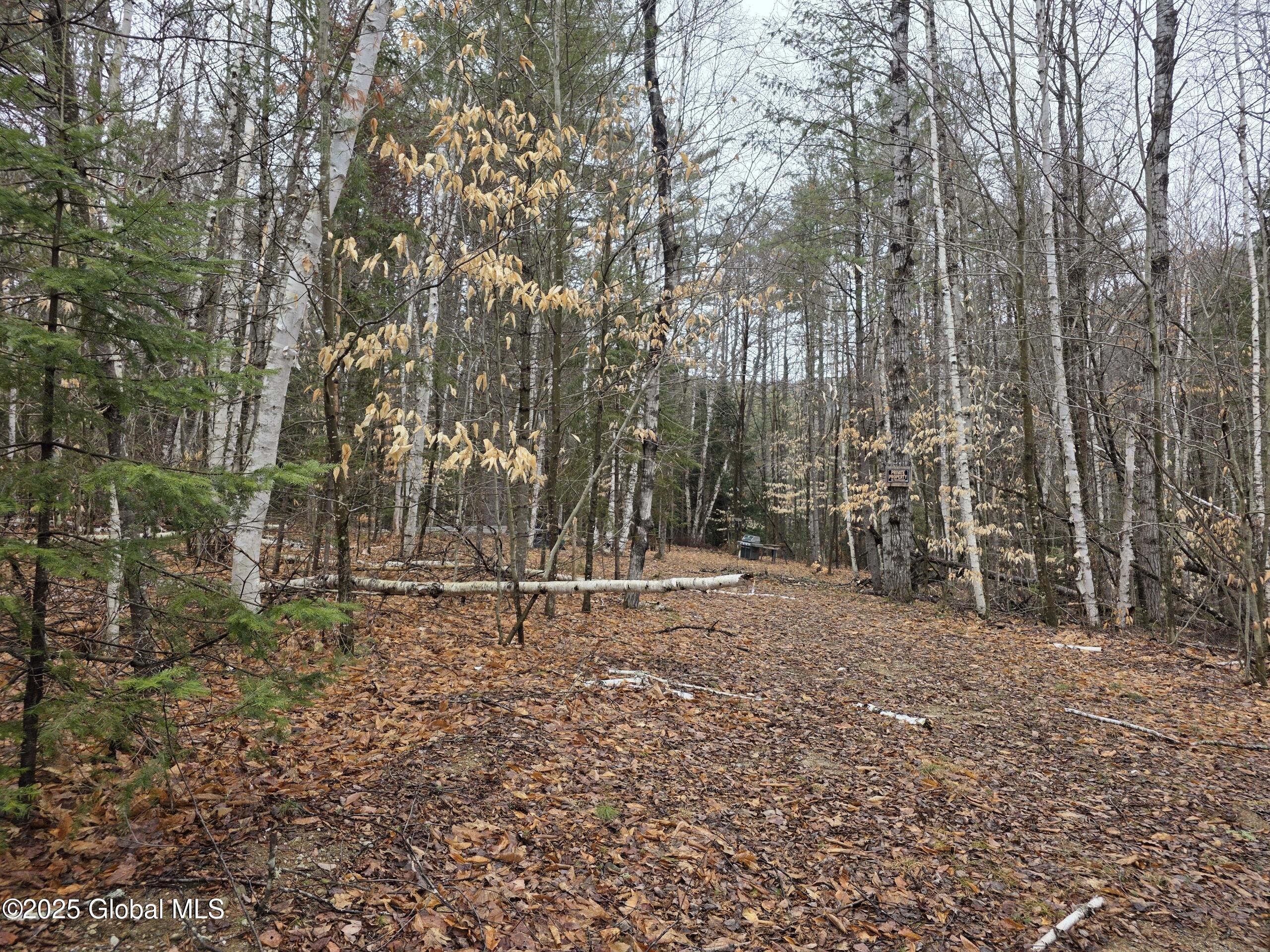 8 & 14 Mountain Path, North Creek, New York image 5