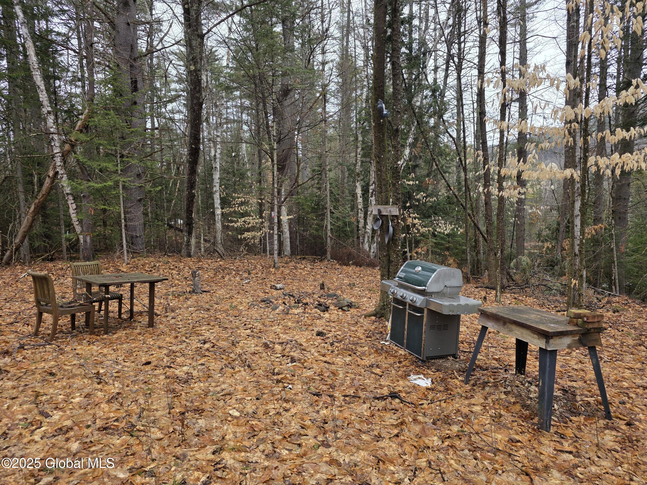 8 & 14 Mountain Path, North Creek, New York image 4