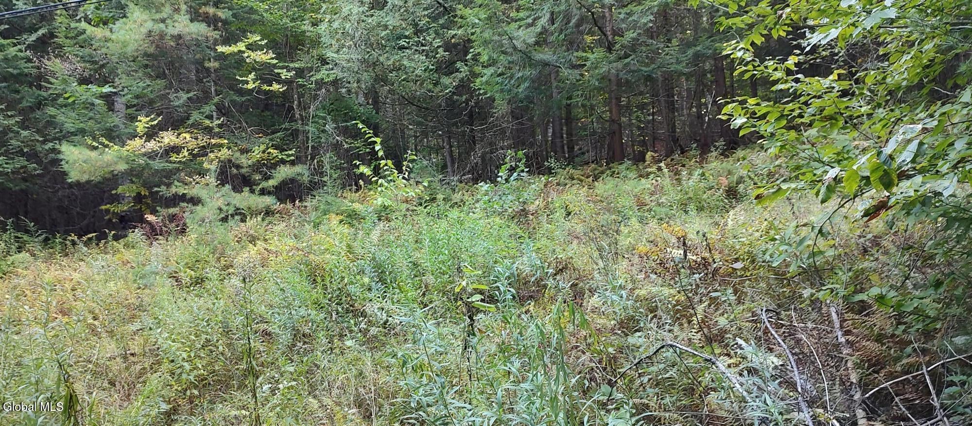 L-17.112 Hoffman Road