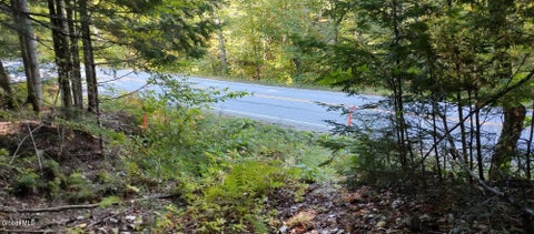Vacant Land For Sale - L-17.112 Hoffman Road<br/> Schroon Lake, NY 12870