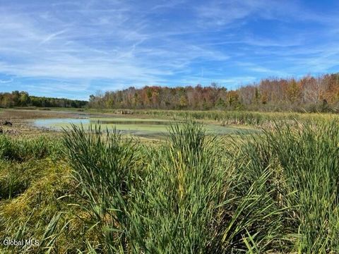 Vacant Land For Sale - L27 Duanesburg Road<br/> Duanesburg, NY 12053