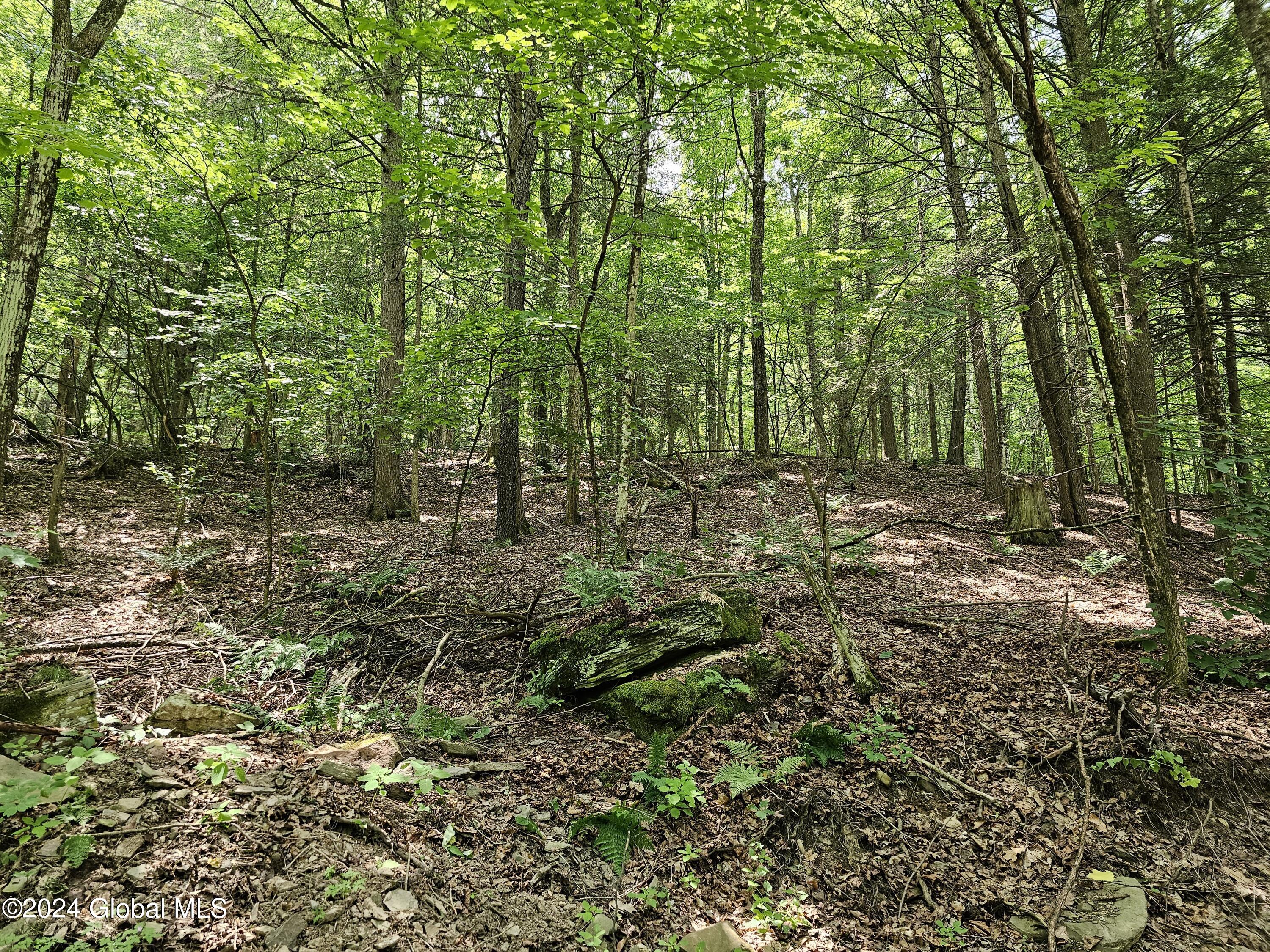 882 Stone Store Road, Middleburgh, New York image 21
