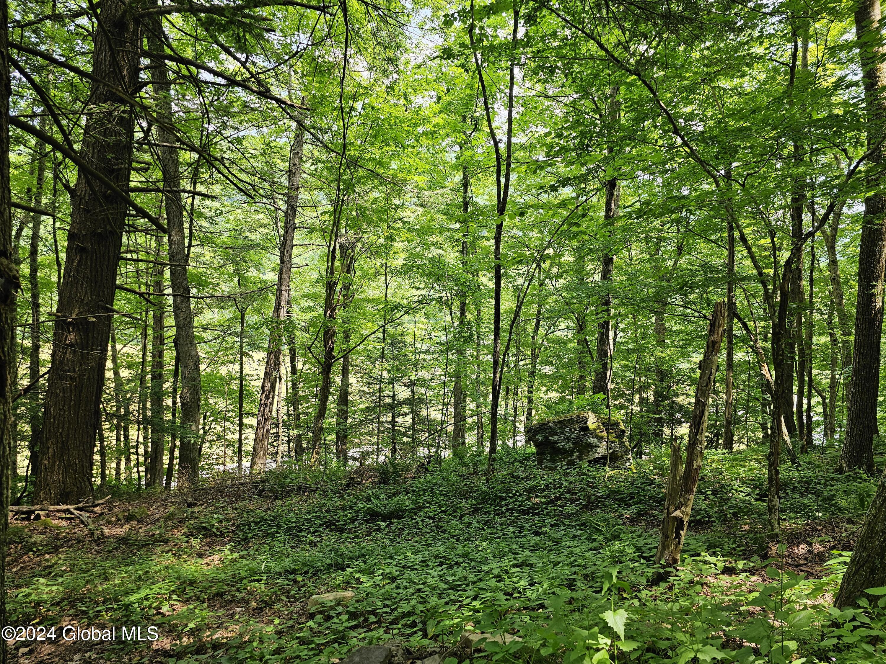 882 Stone Store Road, Middleburgh, New York image 22
