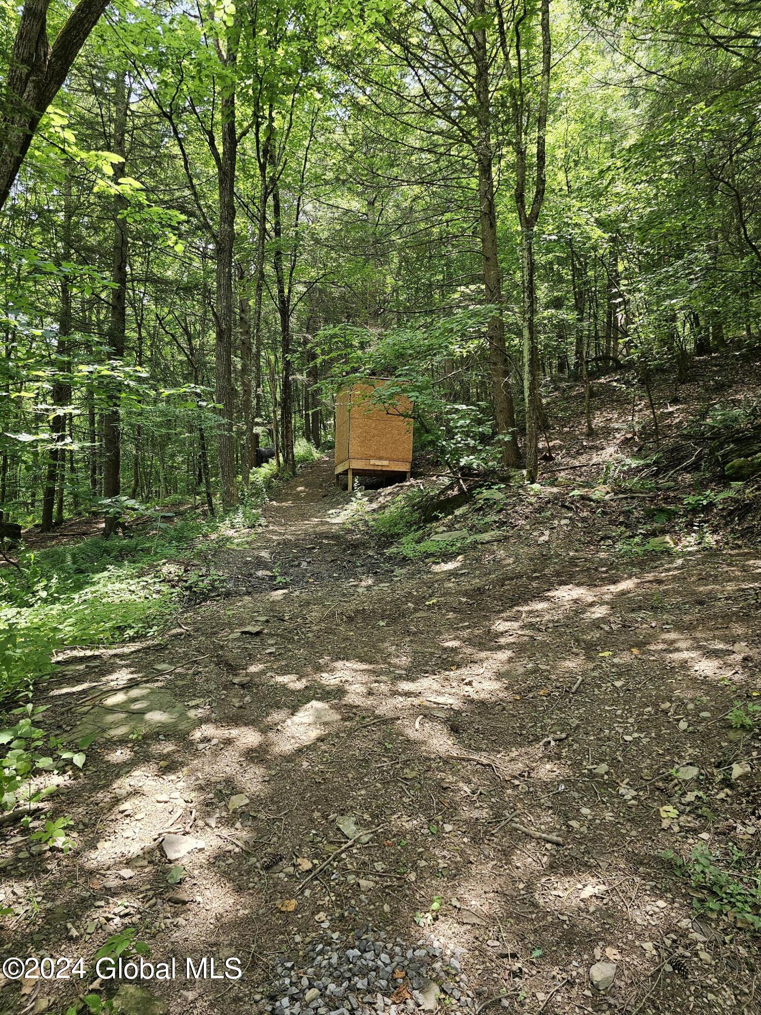 882 Stone Store Road, Middleburgh, New York image 17