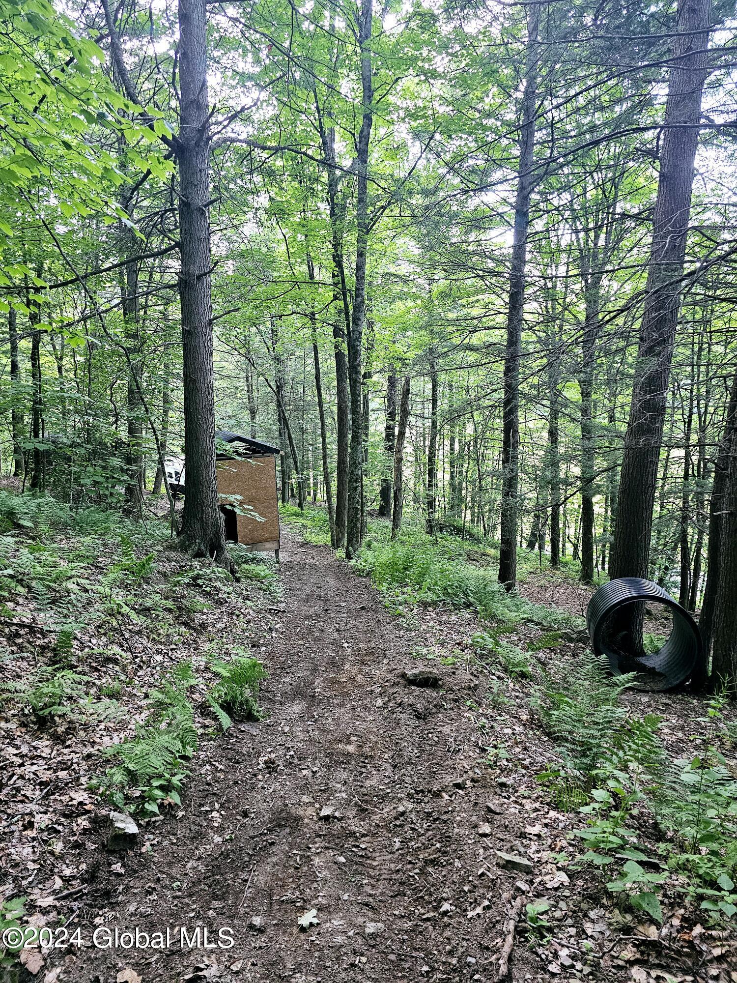 882 Stone Store Road, Middleburgh, New York image 16