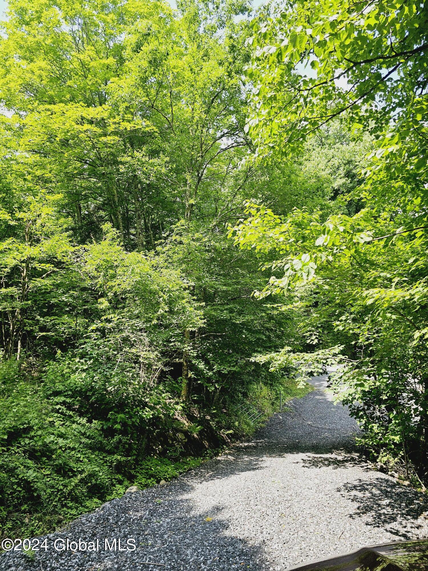 882 Stone Store Road, Middleburgh, New York image 23