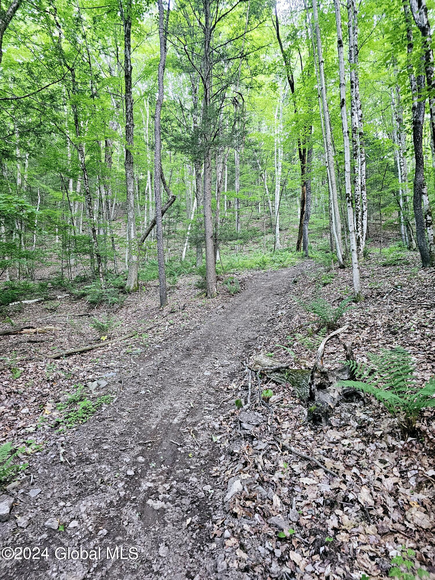 882 Stone Store Road, Middleburgh, New York image 20