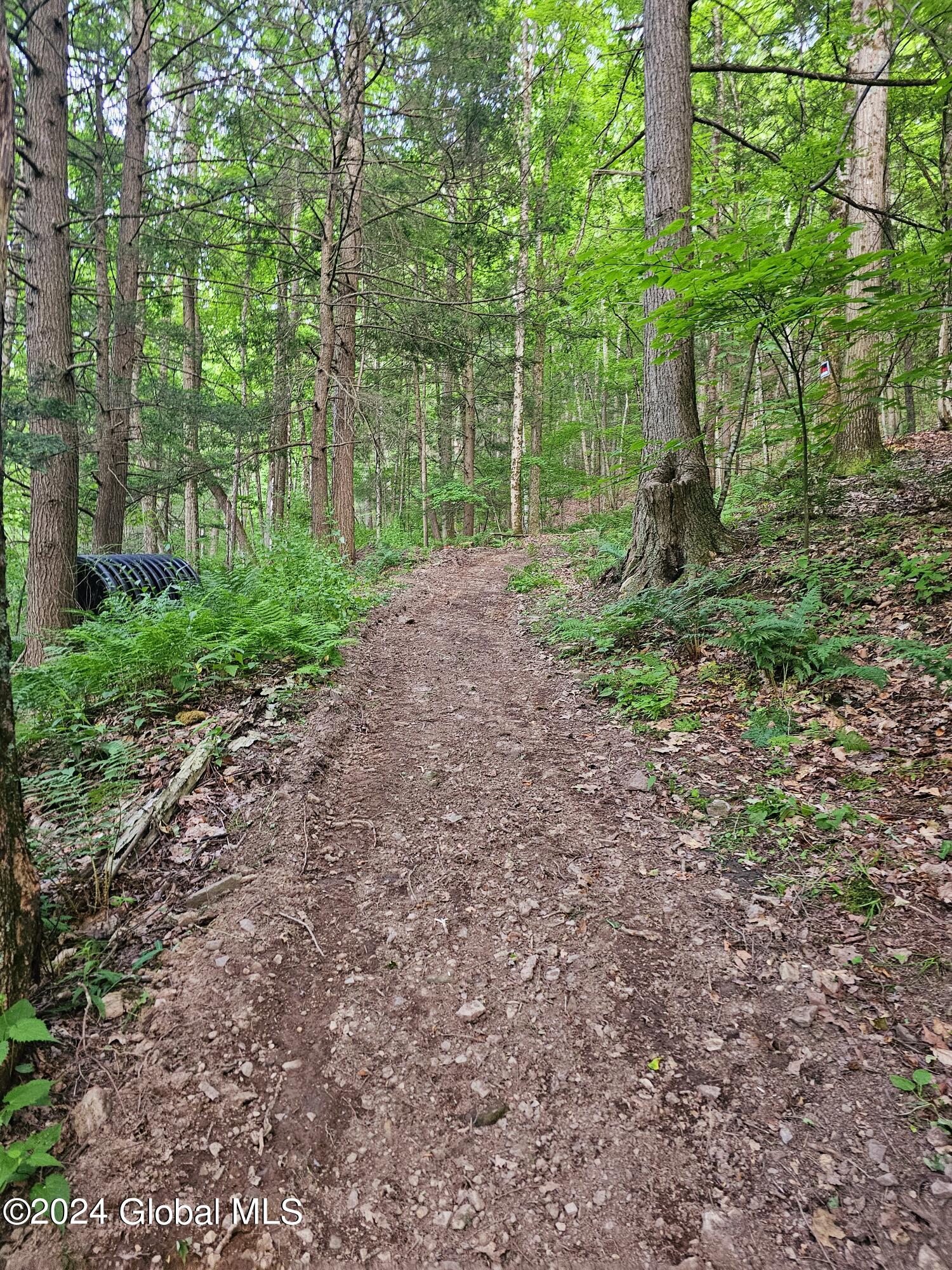 882 Stone Store Road, Middleburgh, New York image 19