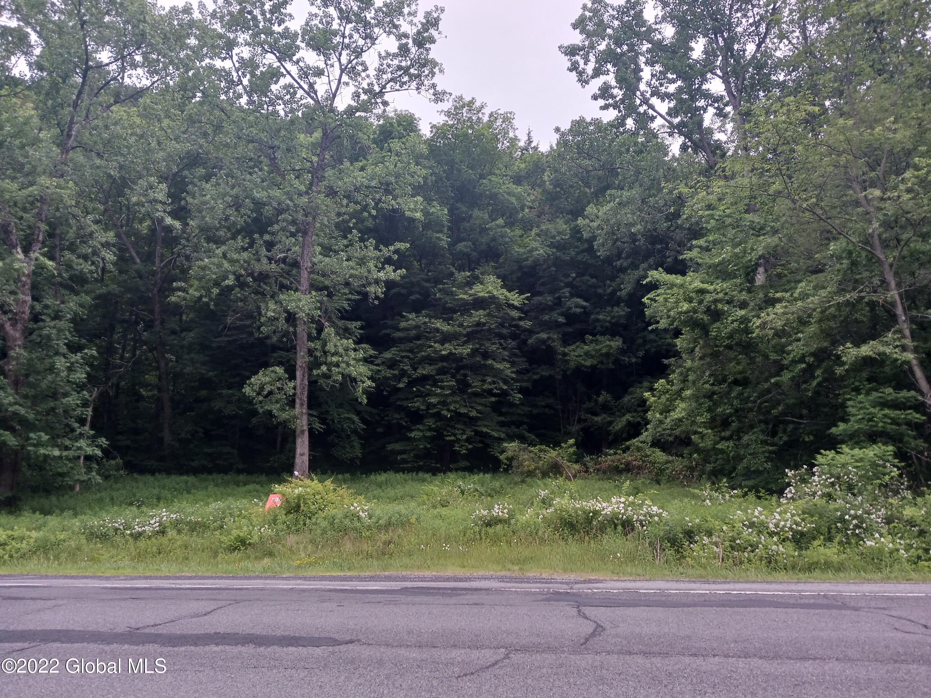 20650 Ny-22, Hoosick, New York image 1