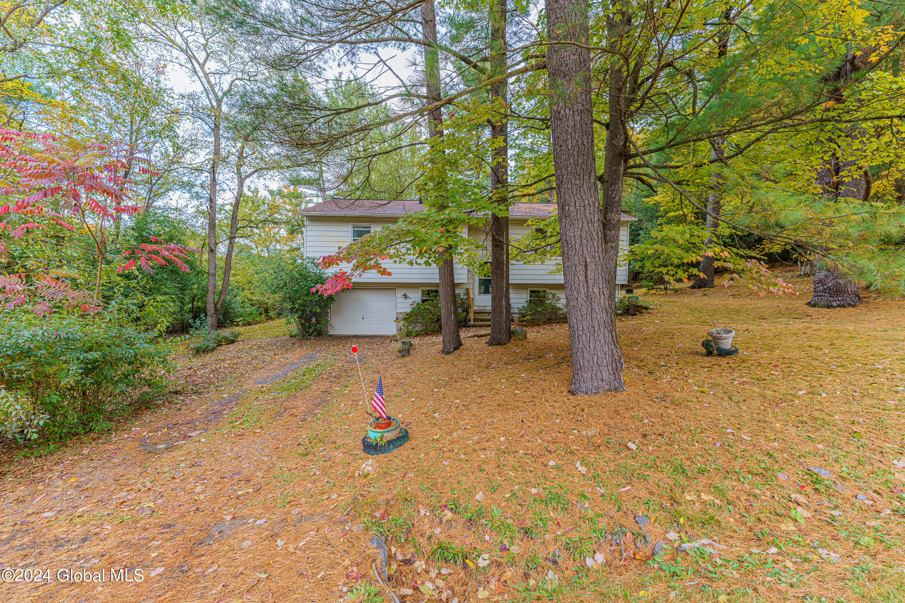 67 Oak Leaf Drive, Stuyvesant, New York image 1