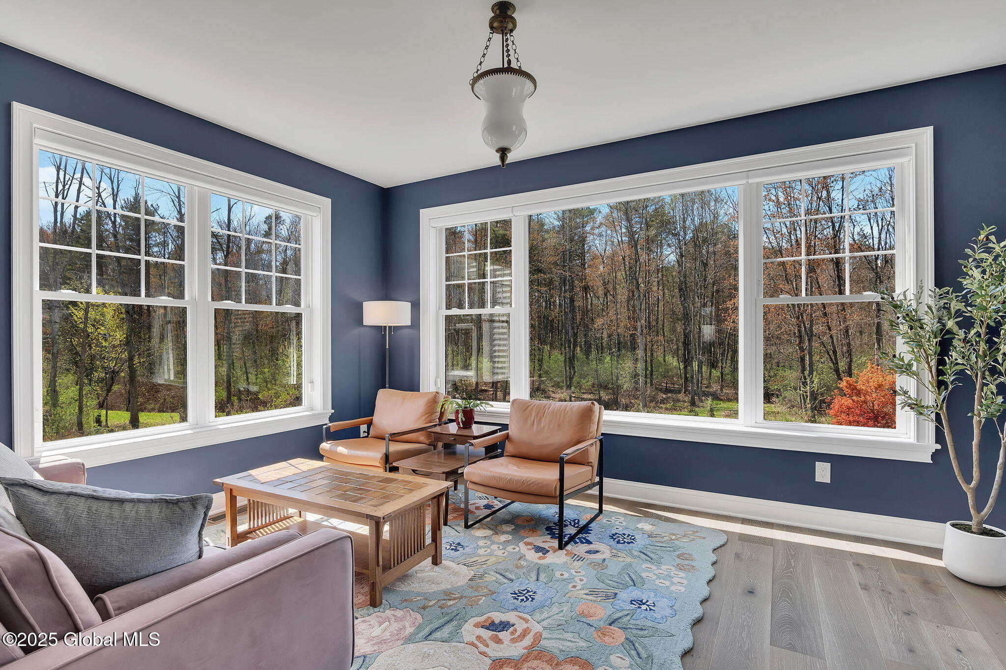 5 Pickett Lane, Rexford, New York image 26
