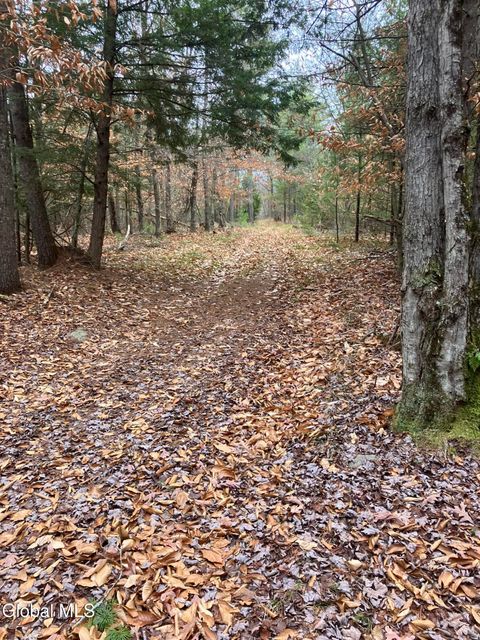 Photo of 0 Scofield Road, Lake Luzerne, NY 12846 (MLS # 202530120)
