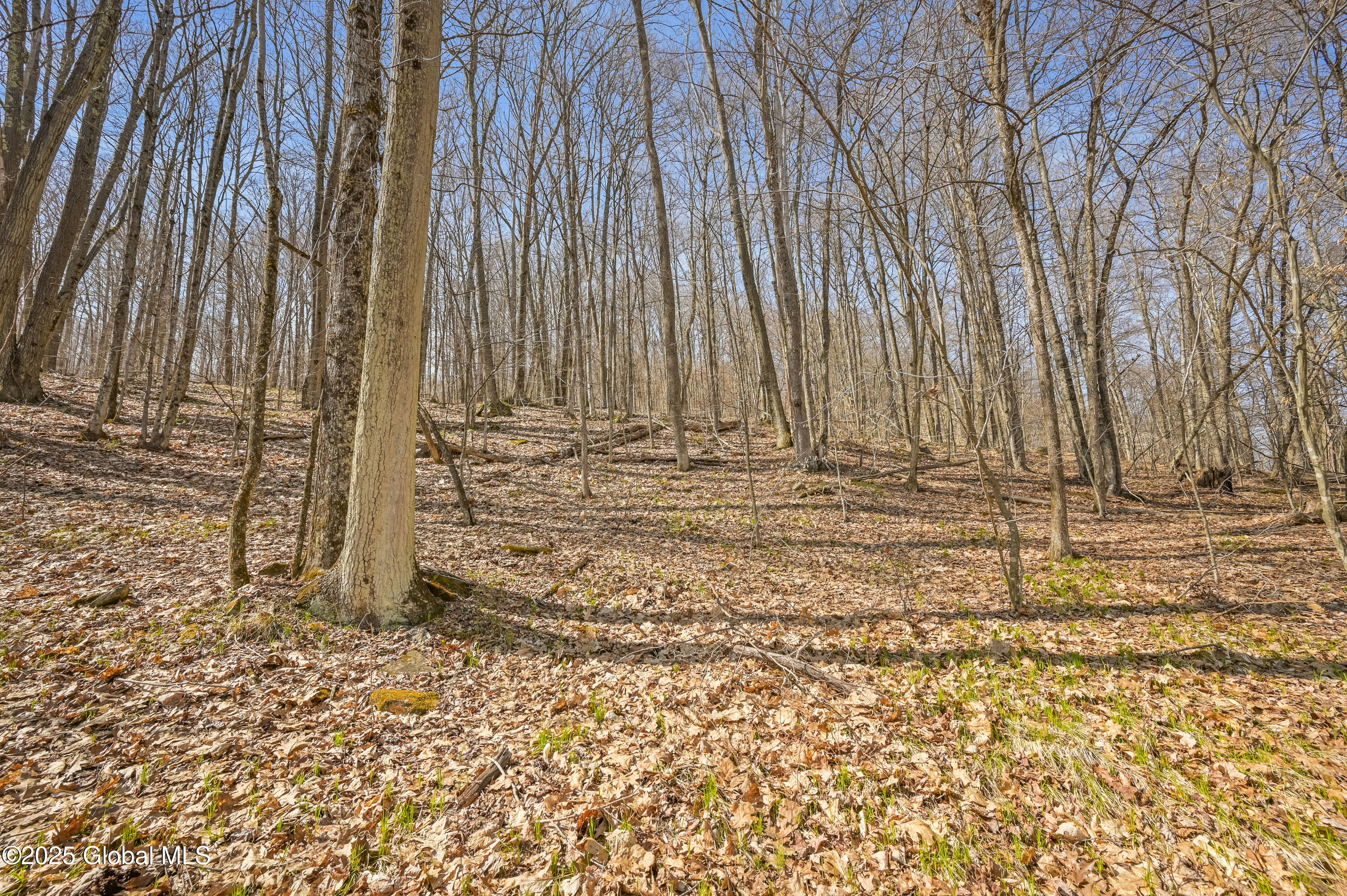 L9.113 Lutheranville Road
