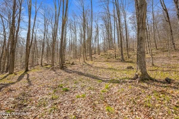 ADDRESS PRIVATE, SUMMIT, NY 12175 - Image 4d4e6182fff2777bb56cc2478b82f9e7/1896929622