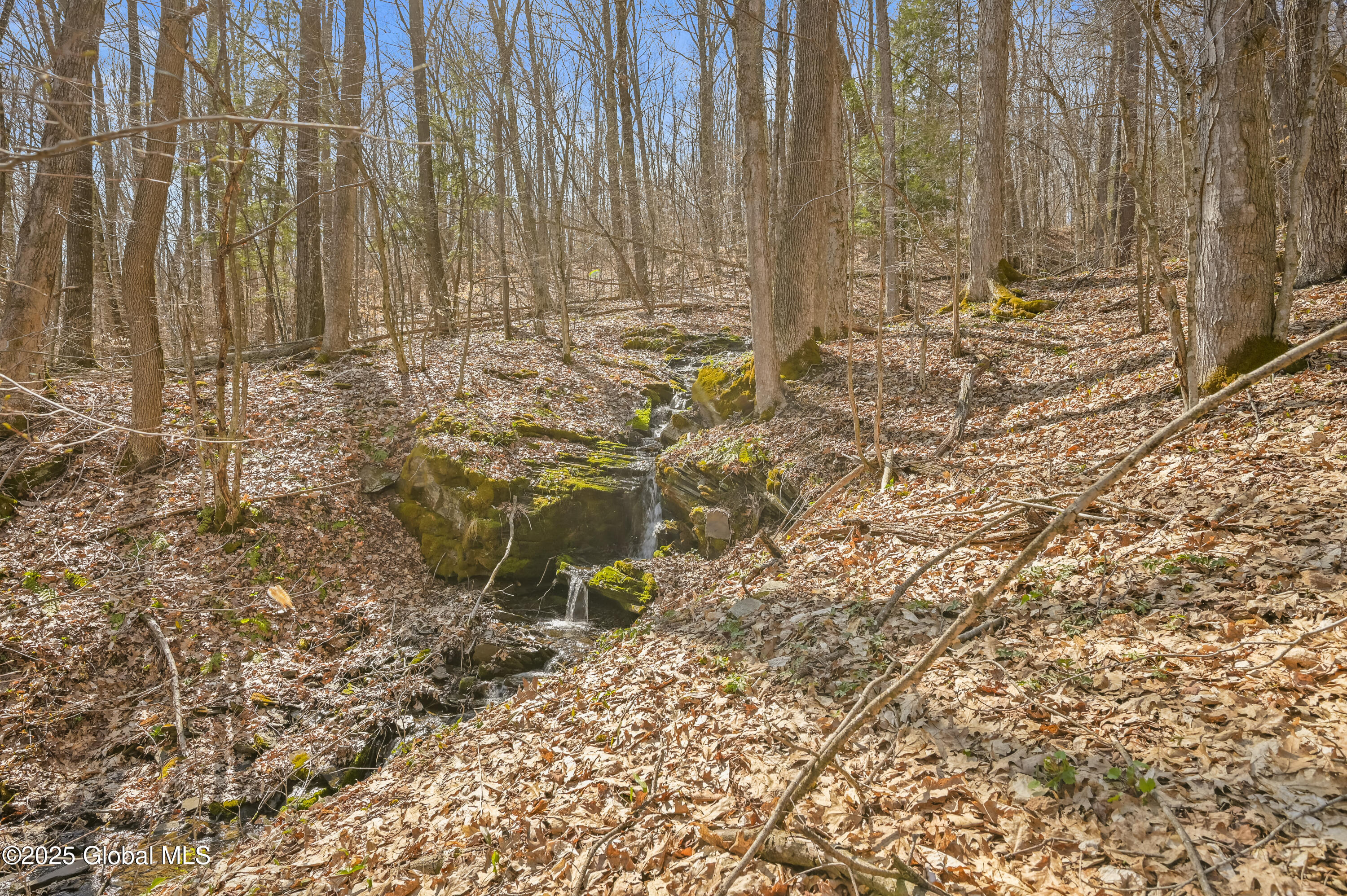 L9.113 Lutheranville Road