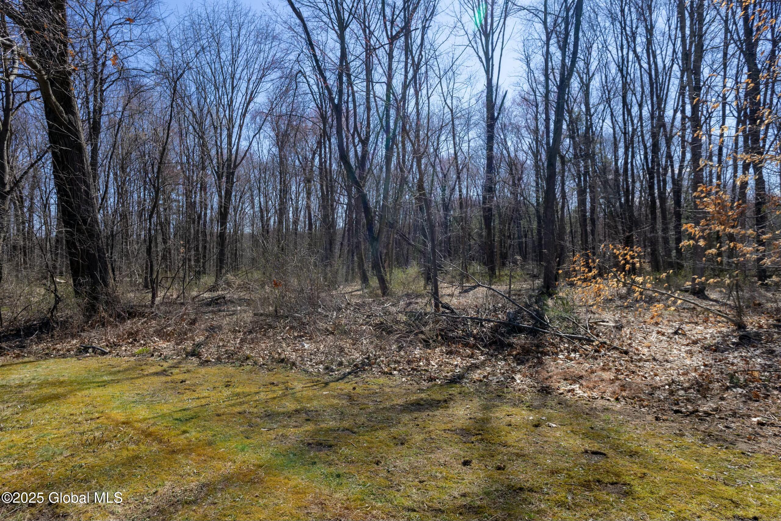 17 Skaarland Drive, Burnt Hills, New York image 20