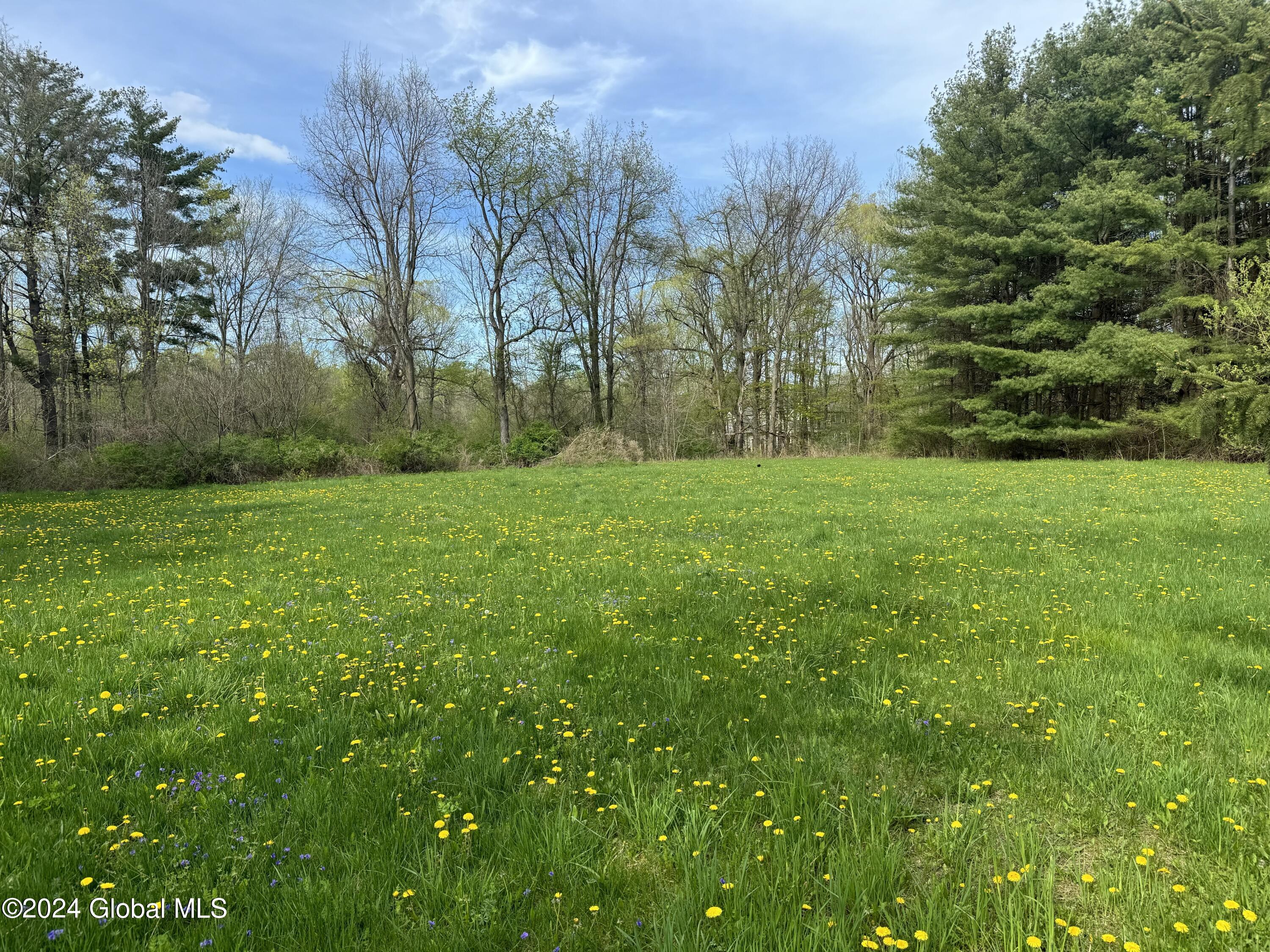 8 Waverly Road #LOT 1, Ballston Lake, New York image 7