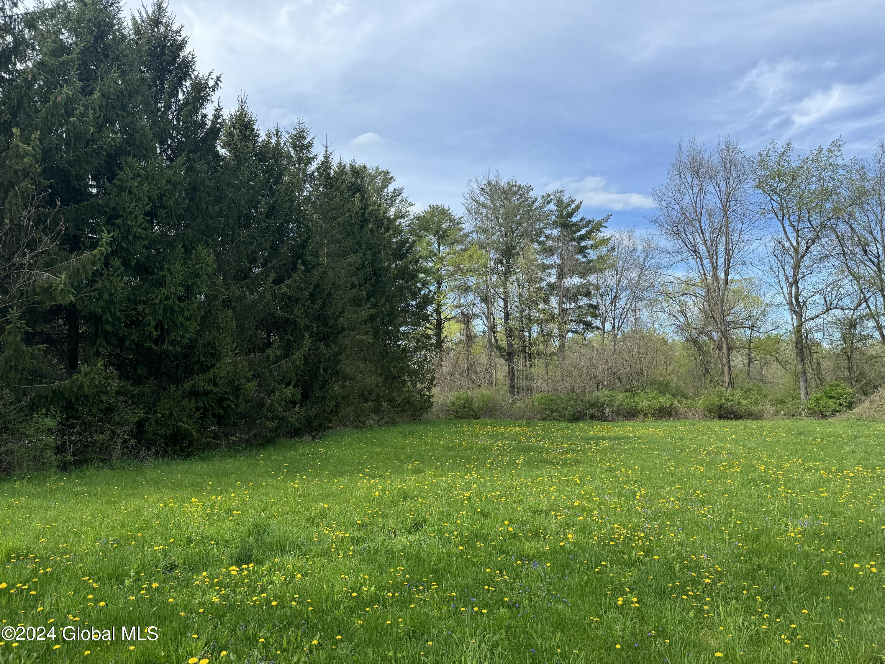 8 Waverly Road #LOT 1, Ballston Lake, New York image 3