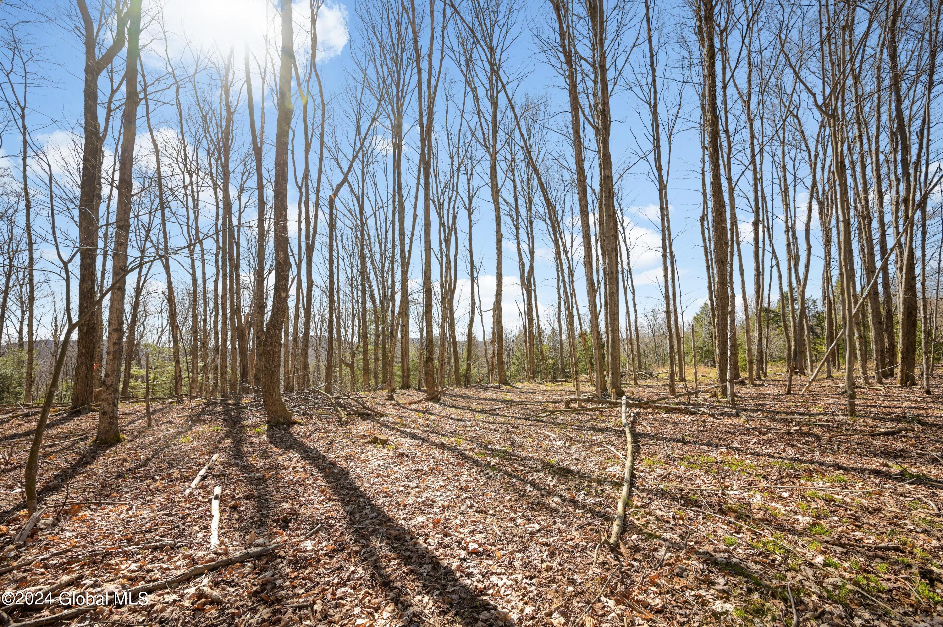 L11.6B Rossman Valley Rd, Richmondville, New York image 16