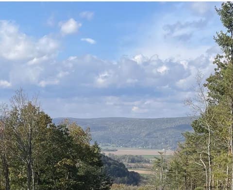 Vacant Land For Sale - 000 Huntersland Road<br/> Middleburgh, NY 12122