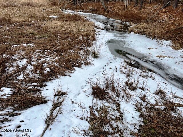 L4 State Route 146, Delanson, New York image 6