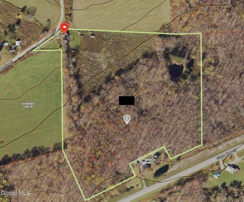 Photo of 168 George Peasley Road, Mc Donough, NY 13758 (MLS # 202530381)