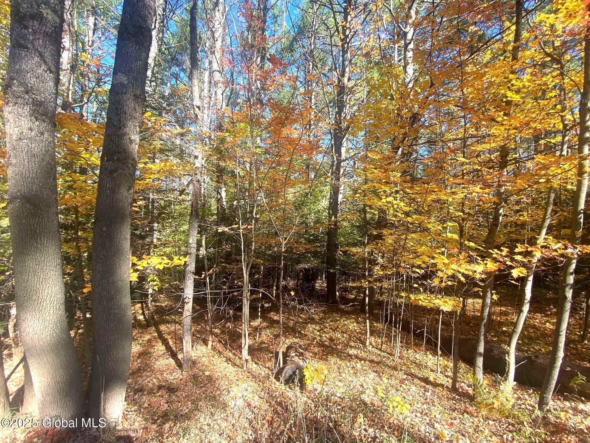 L36 County Route 29, Olmstedville, New York image 8