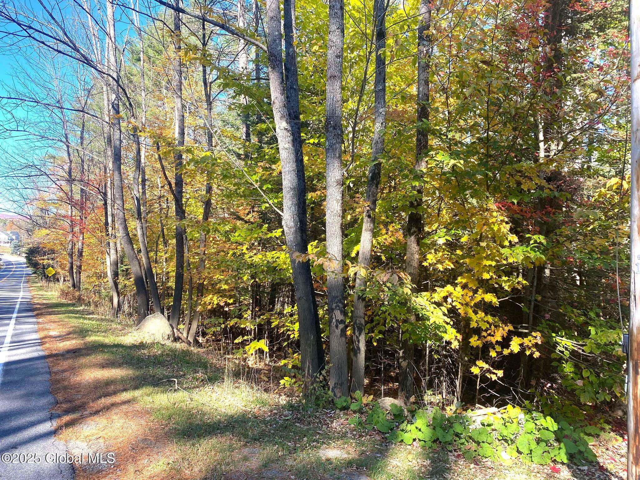 L36 County Route 29, Olmstedville, New York image 1