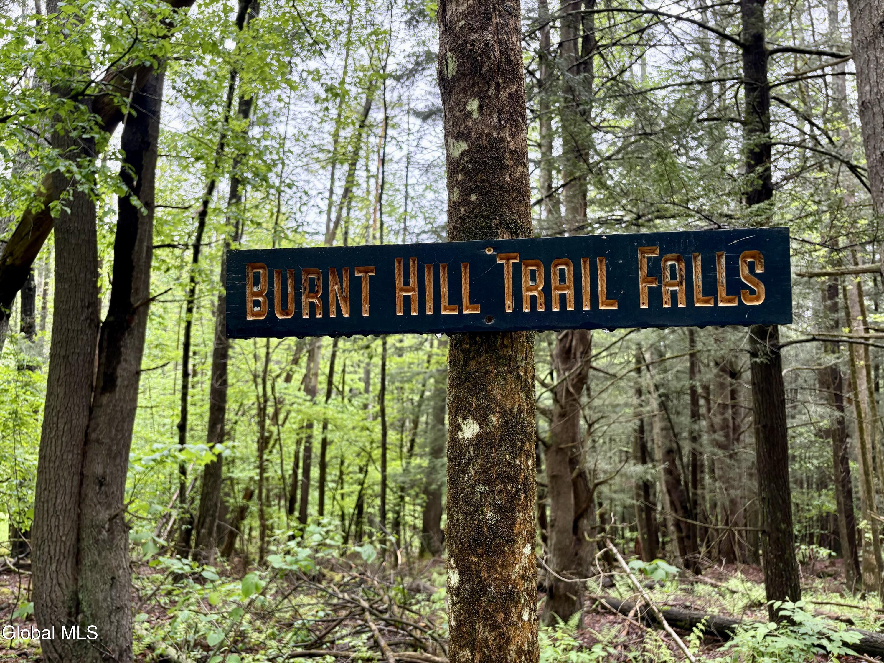 392 Burnt Hill